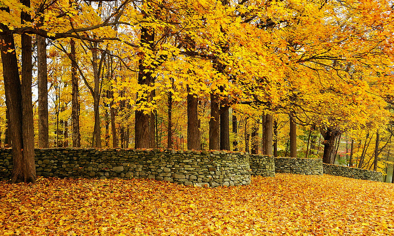 Storm King Wall by Andy Goldsworthy