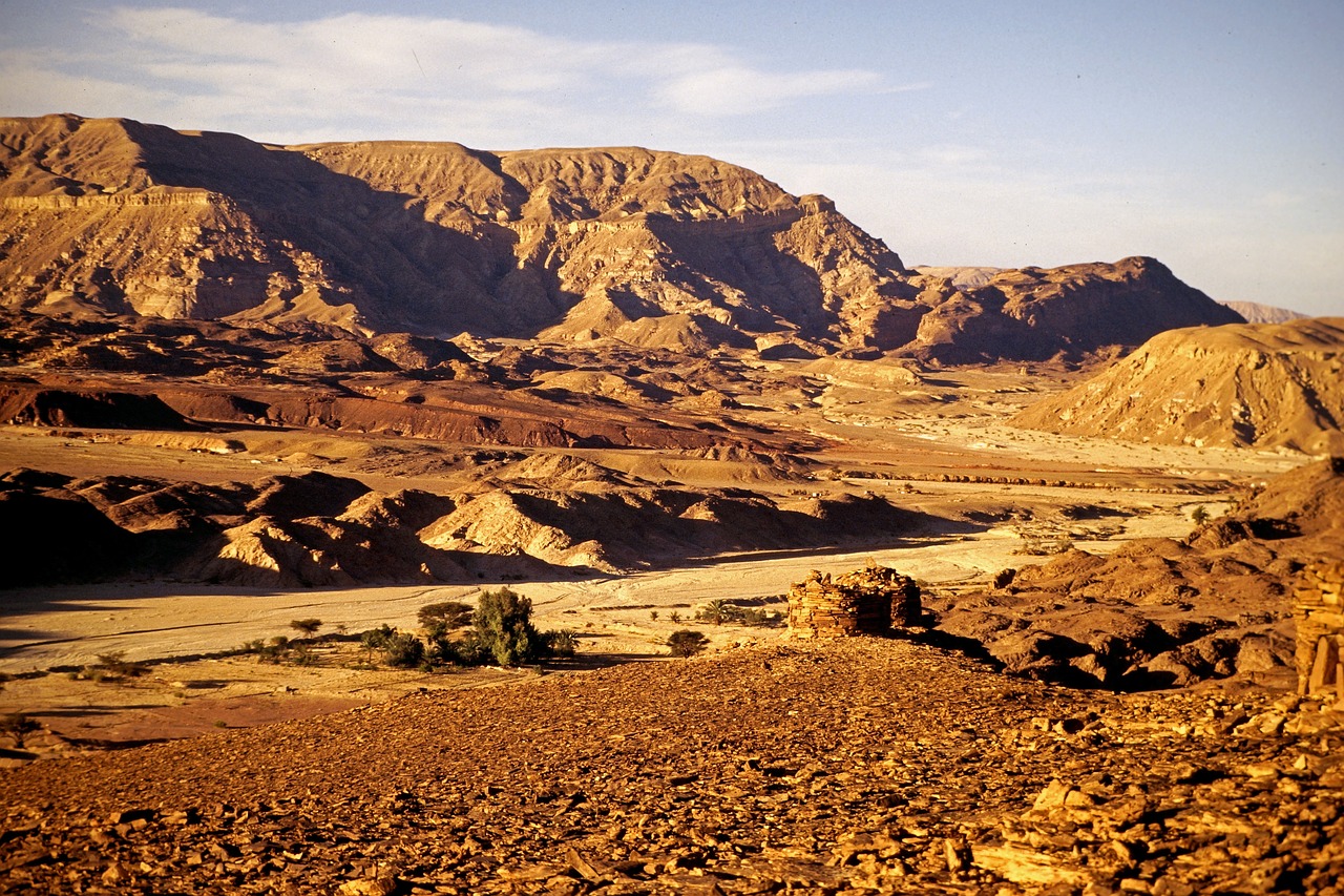 Синайский полуостров пустыня