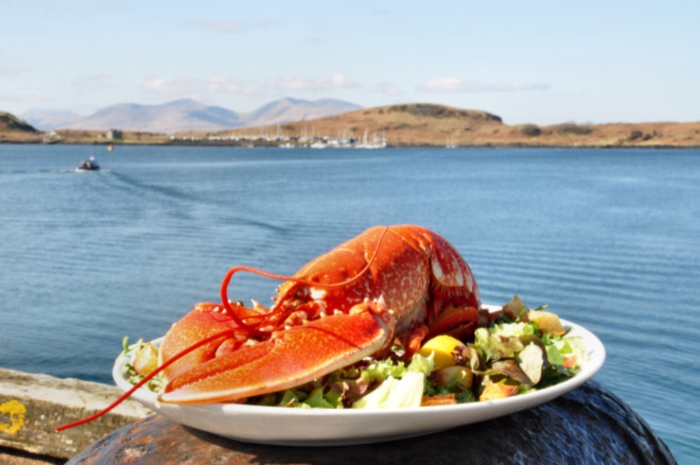 Lobster at The Ee-usk seafood restaurant in Oban on the west coast of Scotland