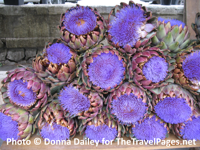 Artichoke Flowers at the Saturday Market in Arles, Provence, France