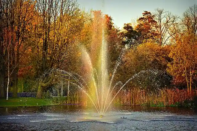 Amsterdam's Vondelpark in the Autumn