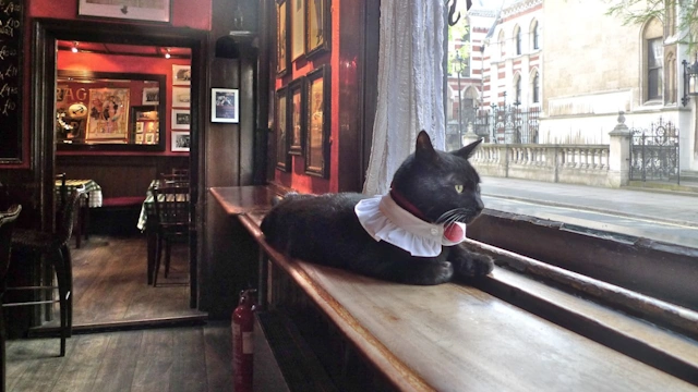Seven Stars Historic Pub London