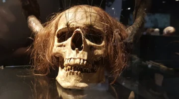 Malaga Interactive Music Museum 8 Shaman's Stick skull Head of a Shaman's Stick in Malaga's Interactive Music Museum